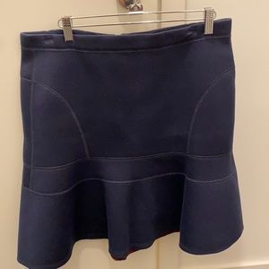 J Crew Skirt